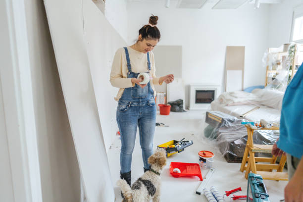 Best Ceiling Drywall Installation  in Lake Cassidy, WA