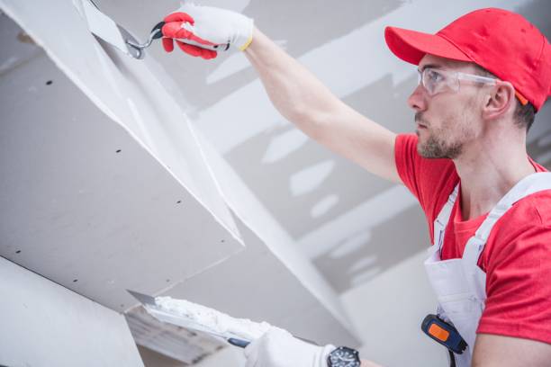 Best Water-Damaged Drywall Repair  in Lake Cassidy, WA